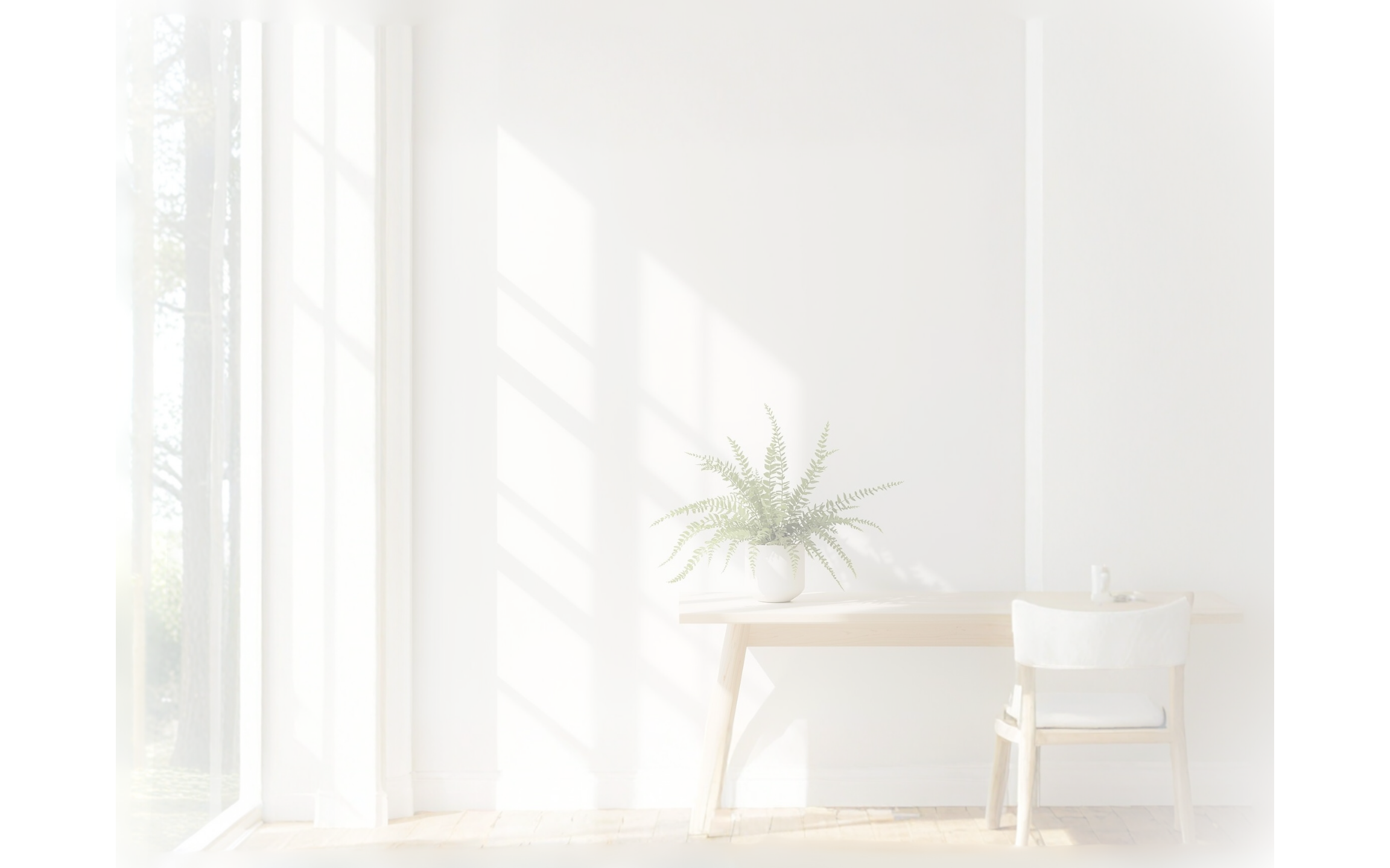 VLS Website Website 4